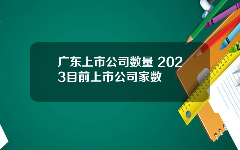 广东上市公司数量 2023目前上市公司家数